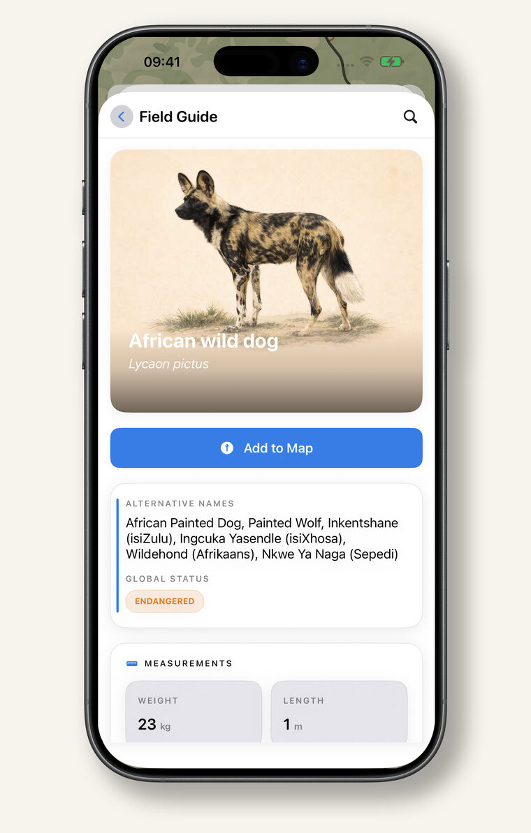 Field guide entry for the African wild dog, with names in several languages